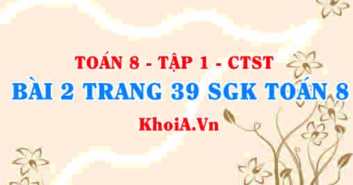 Bài 2 trang 39 SGK Toán 8 Tập 1 Chân trời sáng tạo